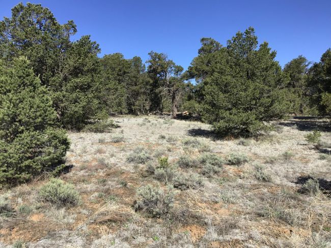 Lot 7 Red Fox Road, Home with 0 bedrooms, 0 bathrooms and null parking in Ramah NM | Image 5