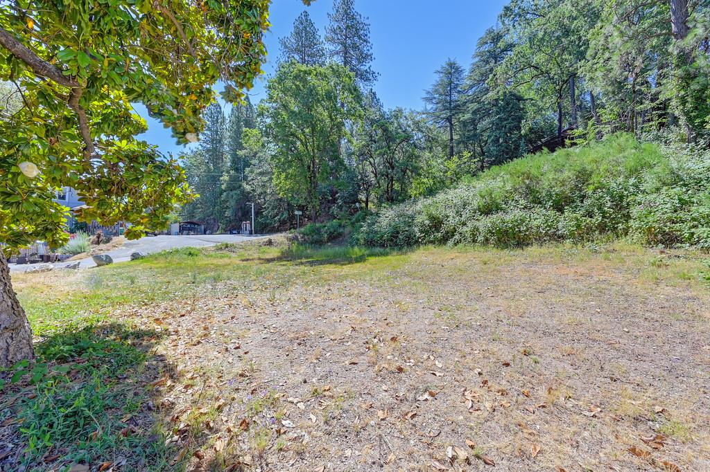 Land in Placerville 2