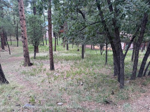 117 Tanglewood Ln, Alto, NM, 88312-8005 | Card Image