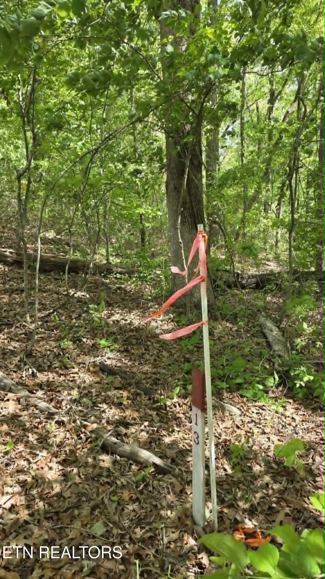 Land in Crossville 2