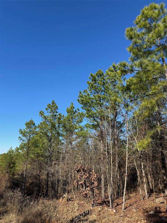 Land in Broken Bow