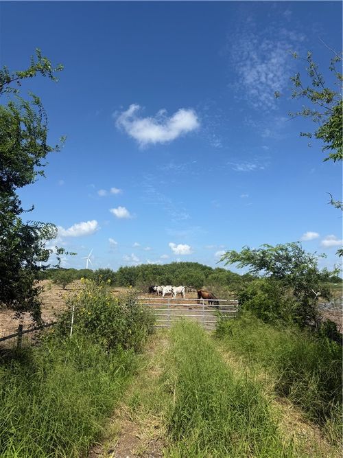 7088 Fm 631, Taft, TX, 78390-4517 | Card Image