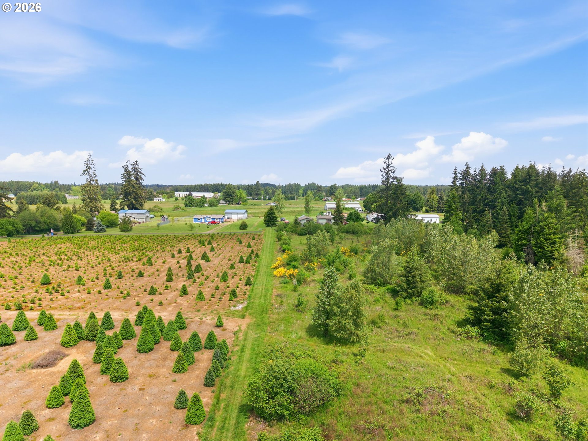 Land in Winlock 3