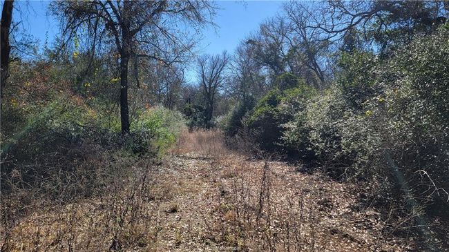 15 Old Hickory Grove Rd, House other with 4 bedrooms, 4 bathrooms and null parking in Franklin TX | Image 19