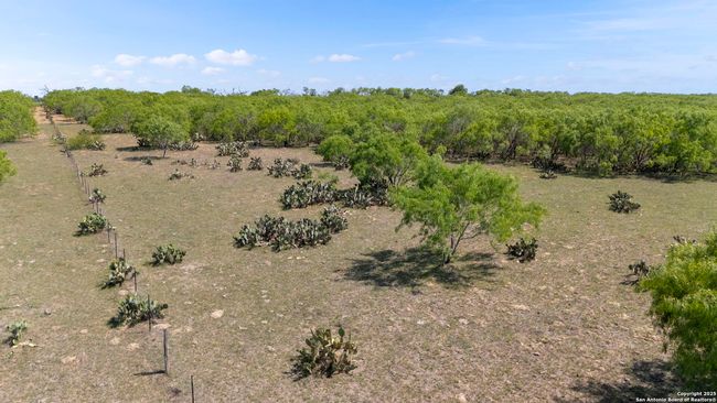 000 Fm 2146, Home with 0 bedrooms, 0 bathrooms and null parking in Poteet TX | Image 6