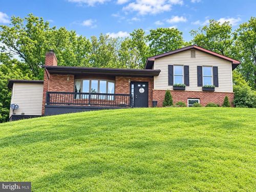 238 Landis Ln, GREEN SPRING, WV, 26722-4595 | Card Image