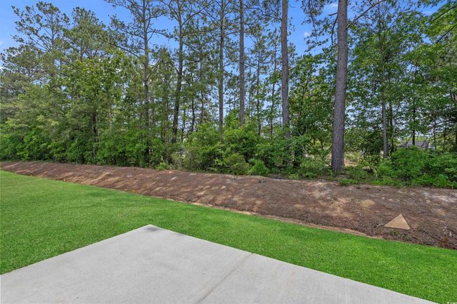 2441 Campton Loop, House other with 3 bedrooms, 2 bathrooms and 4 parking in Conway SC | Image 26