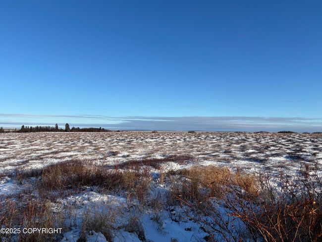 View East | Image 50