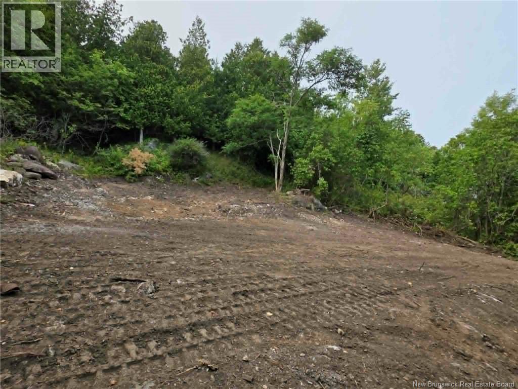 Land in Saint John