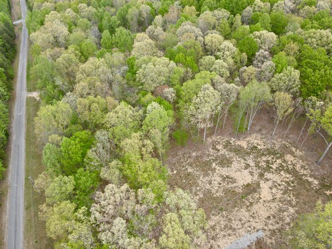 0 Deerwood Dr, Home with 0 bedrooms, 0 bathrooms and null parking in Sewanee TN | Image 38