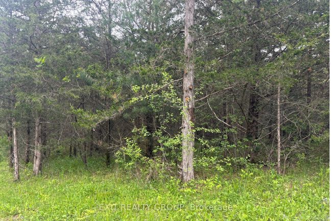 262 Johnston Rd, Home with 0 bedrooms, 0 bathrooms and null parking in Thomasburg ON | Image 4