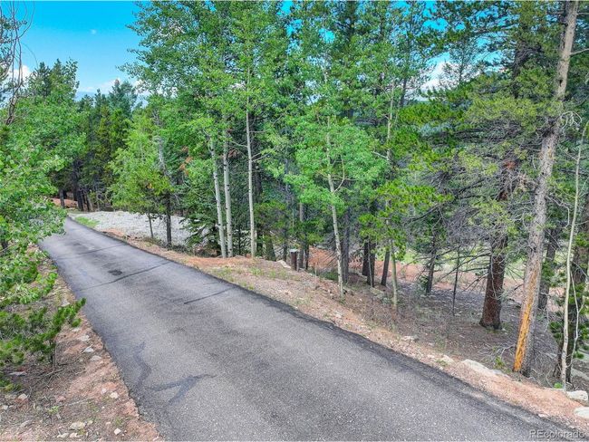 11275 Bear Run Trl, Home with 0 bedrooms, 0 bathrooms and null parking in Conifer CO | Image 17