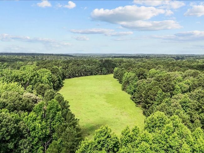 000 An County Road 100, Home with 0 bedrooms, 0 bathrooms and null parking in Elkhart TX | Image 6