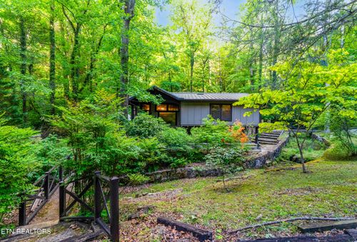 259 Black Mash Hollow Rd, Townsend, TN, 37882-3918 | Card Image
