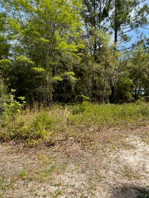 1774 Balsam Dr Sw, Supply, NC, 28462 | Card Image