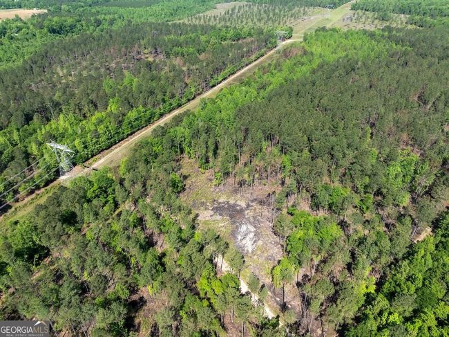 6053 Sun Hill Grange Rd, Home with 0 bedrooms, 0 bathrooms and null parking in Davisboro GA | Image 124