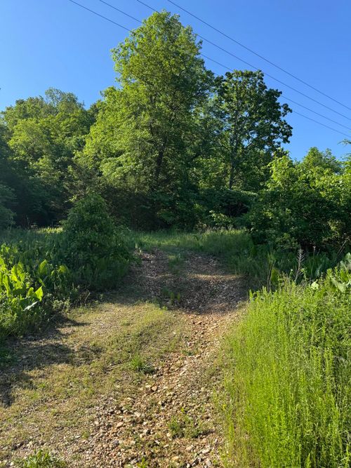 6110 Route E, Pineville, MO, 64856 | Card Image