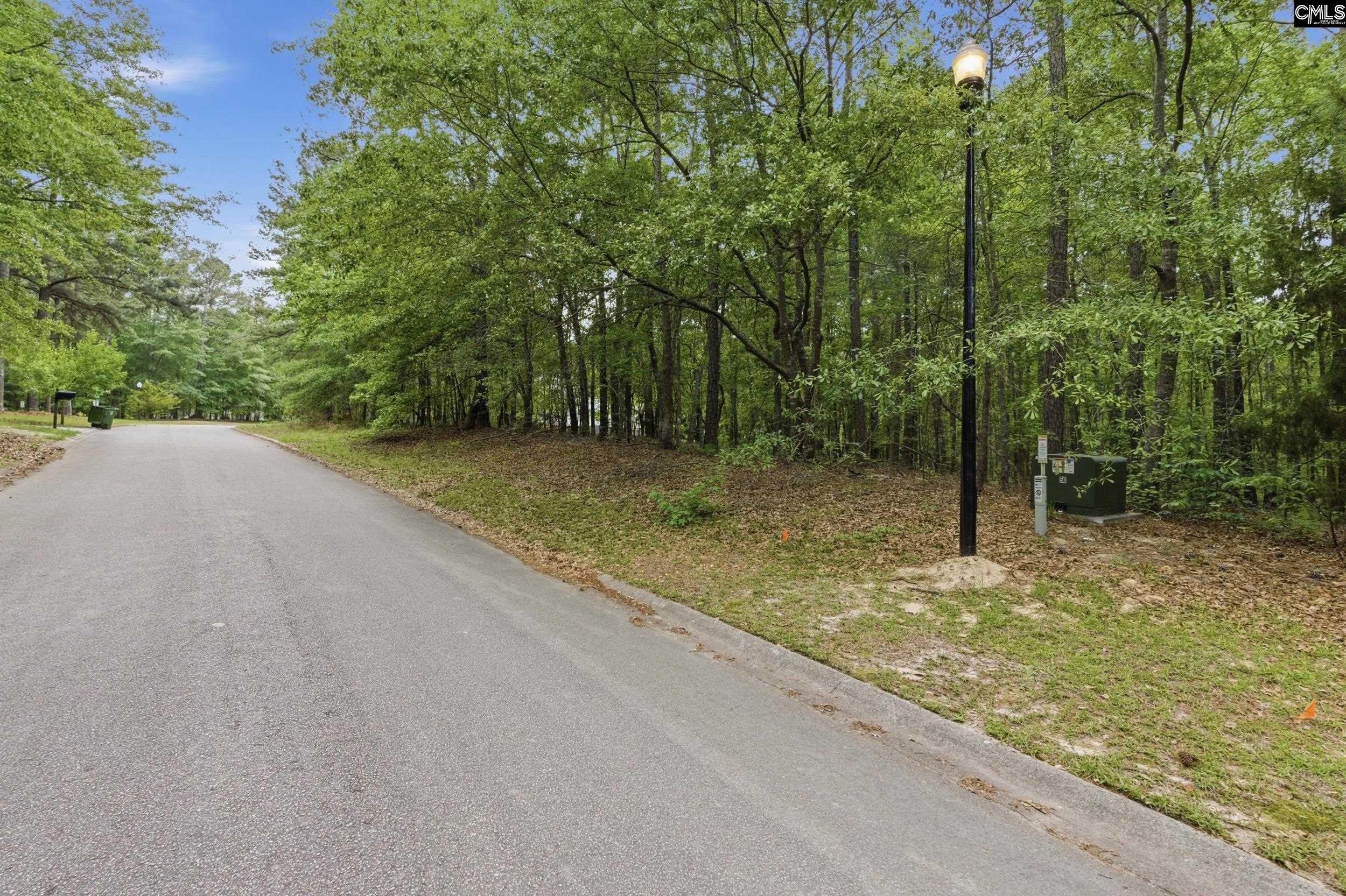 Land in Blythewood 3