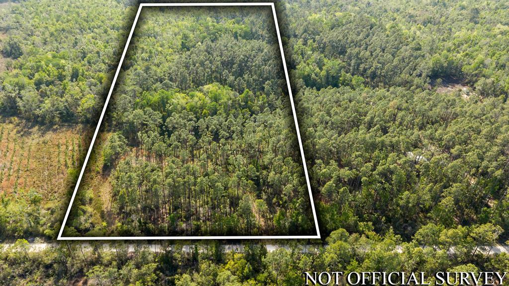 Land in Steinhatchee 5