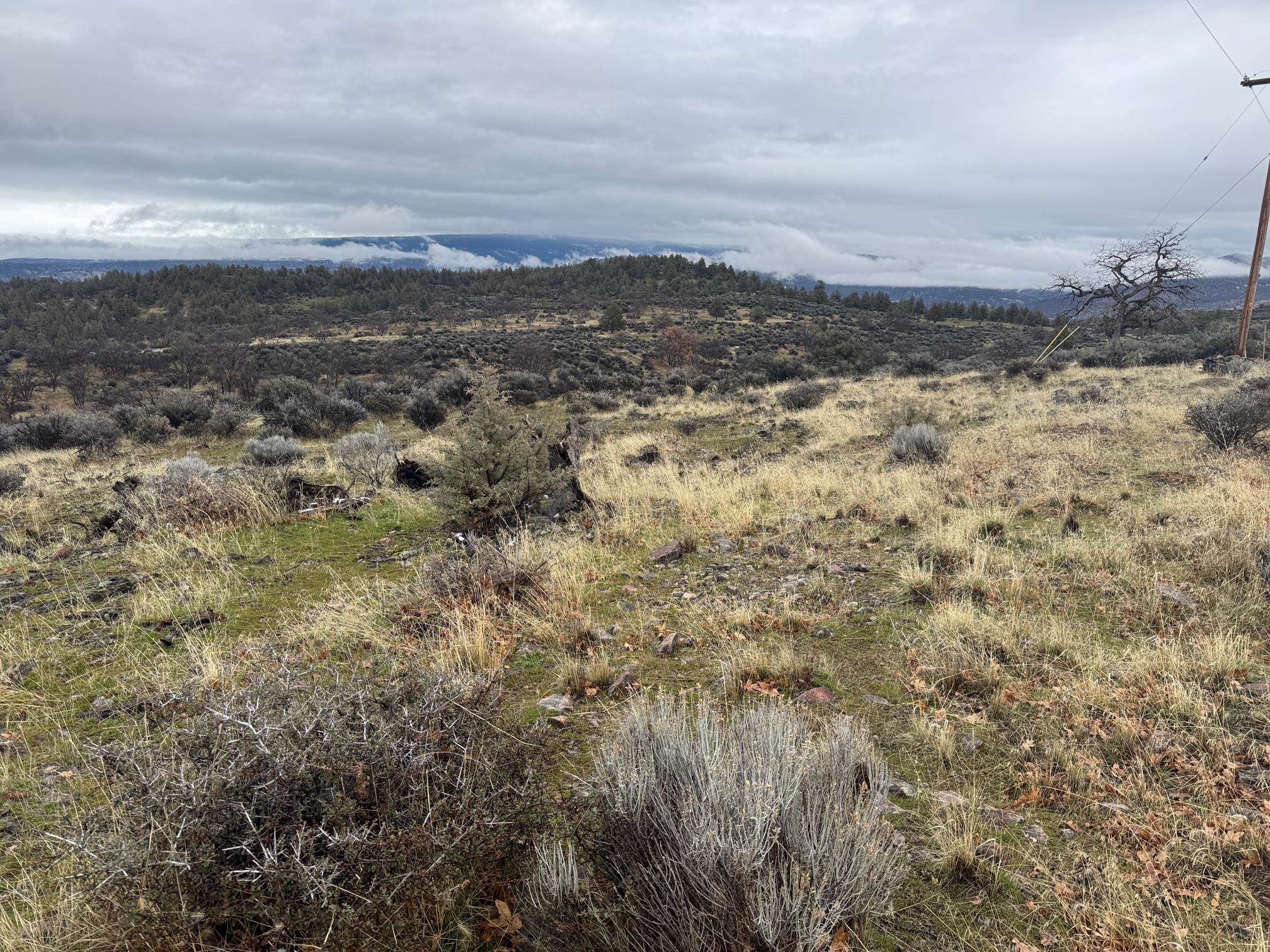 Land in Montague