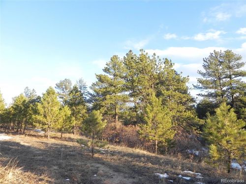 2366 Lupine Cir, Larkspur, CO, 80118 | Card Image