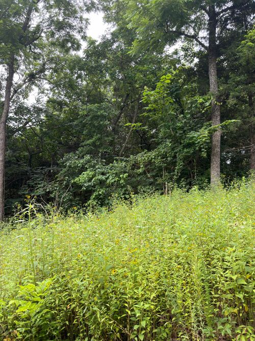 Lot 219 Big Rock Rd, Shell Knob, MO, 65747 | Card Image