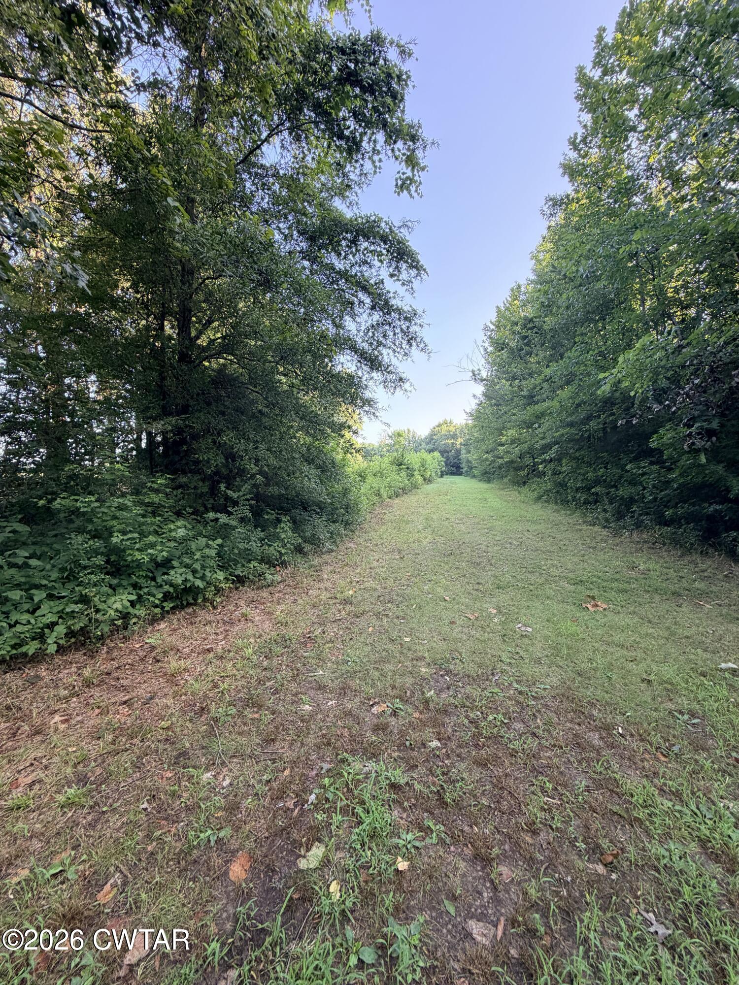 Land in Dyersburg 4