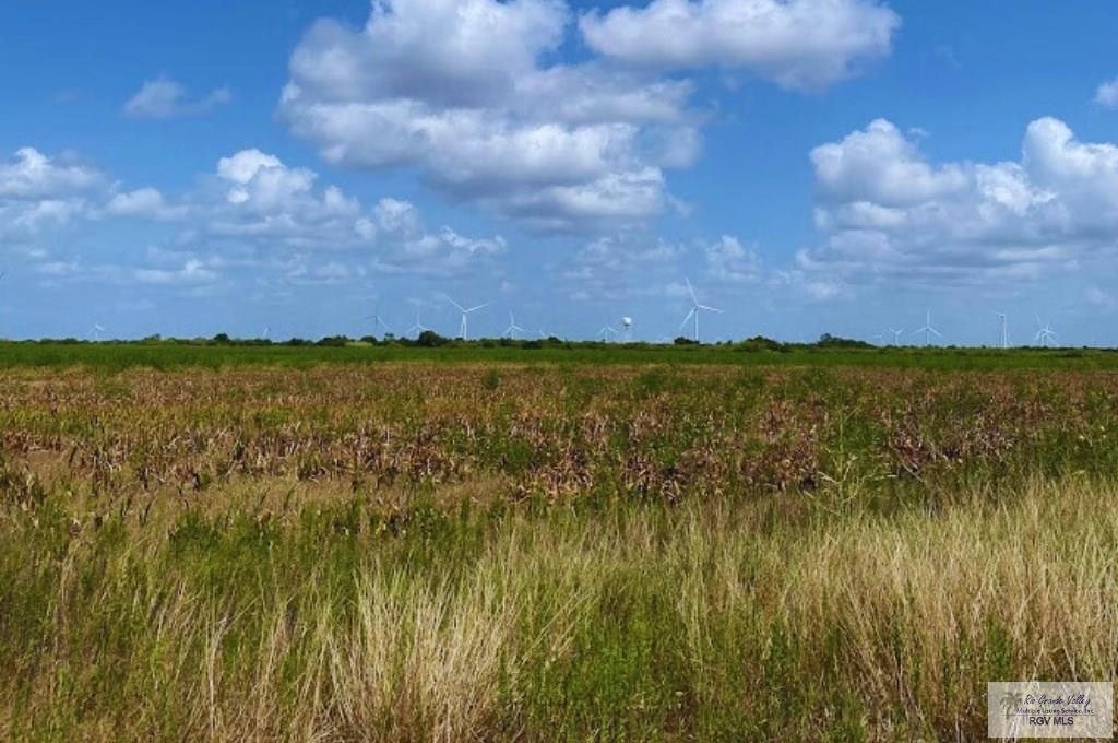 Land in Rio Hondo 5