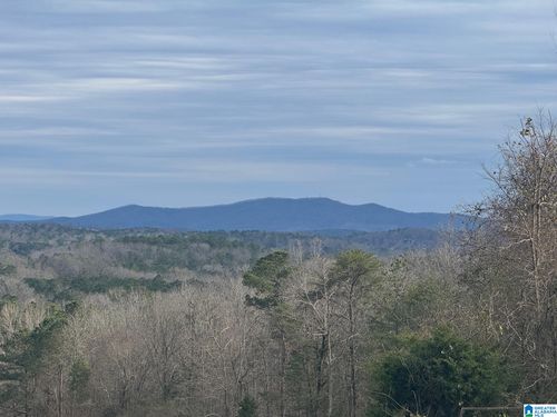 3953 Logan Martin Dam Rd, Cropwell, AL, 35054-4801 | Card Image