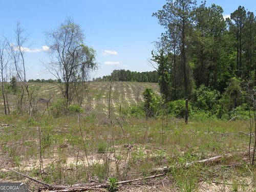 0 Pineville Rd, Buena Vista, GA, 31803 | Card Image