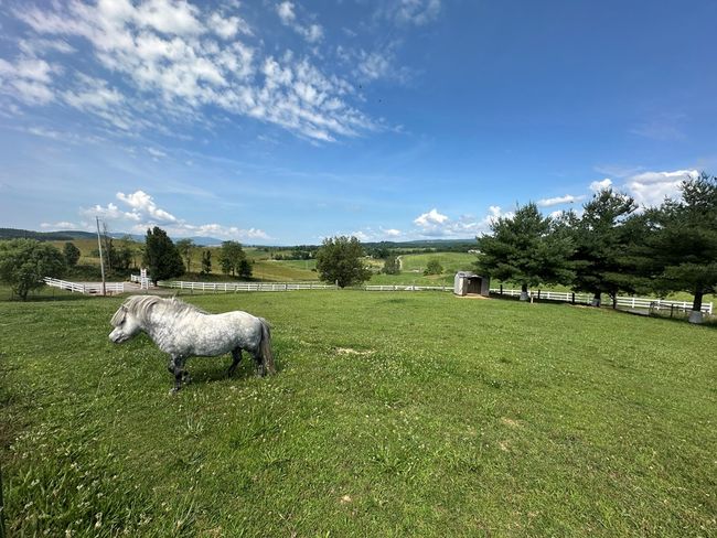 6948 Peppers Ferry Rd, House other with 5 bedrooms, 4 bathrooms and 4 parking in Max Meadows VA | Image 14