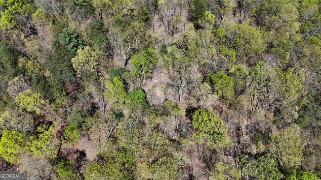 LOT 19 Heyden Ridge Dr, Home with 0 bedrooms, 0 bathrooms and null parking in Clarkesville GA | Image 11