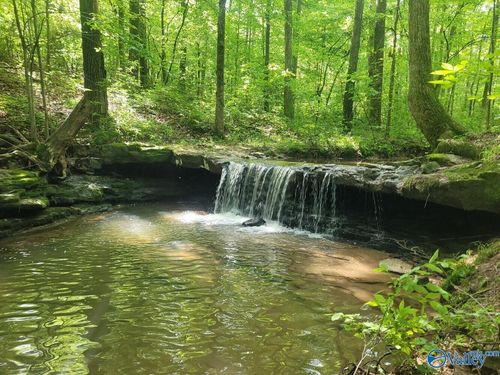 484 Naples Ln, Arab, AL, 35016-4453 | Card Image