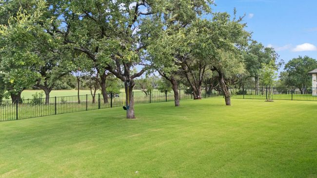Back yard | Image 35