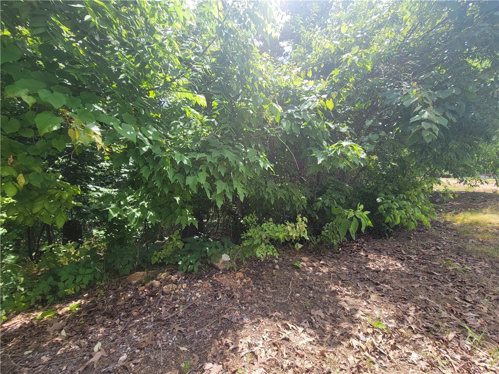 Land in Bella Vista