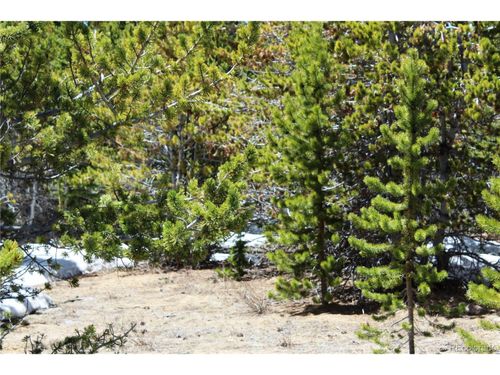 12 Lamartine Rd, Idaho Springs, CO, 80452 | Card Image