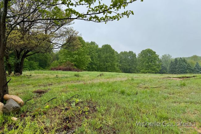 9 Leaf Lane, Home with 0 bedrooms, 0 bathrooms and null parking in Freeport MI | Image 5