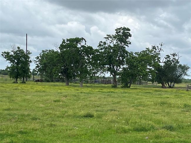 2627 Beasley West End Rd, Home with 0 bedrooms, 0 bathrooms and null parking in Beasley TX | Image 6