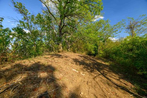 10 N State Road 156 Highway, Patriot, IN, 47038 | Card Image