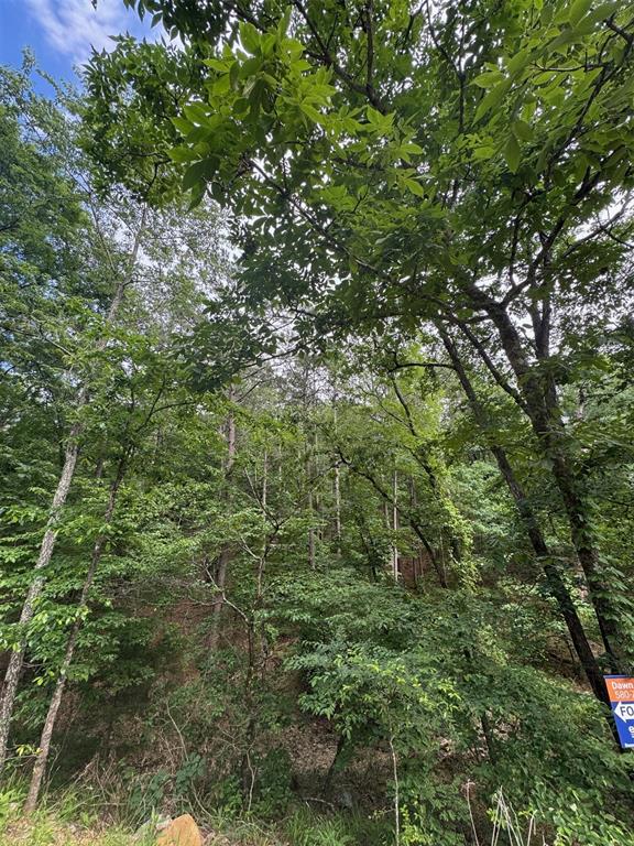 Land in Broken Bow 3
