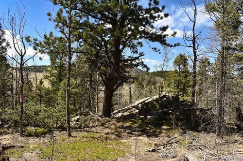 289 Timberline Drive, Guffey, CO, 80820 | Card Image