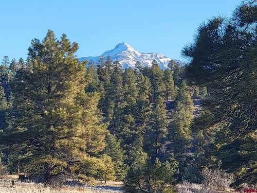 642 Trails Blvd, Pagosa Springs, CO, 81147 | Card Image
