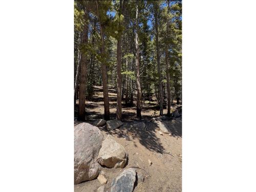 378 Alice Rd, Idaho Springs, CO, 80452 | Card Image