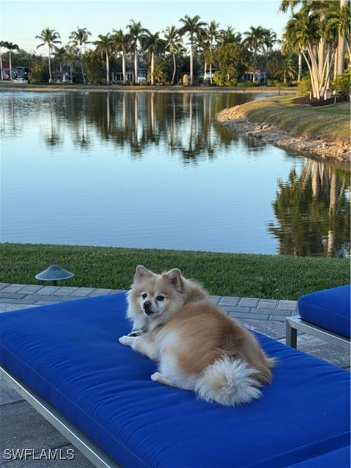 4437 Southern Breeze Dr, NAPLES, FL, 34114-9464 | Card Image