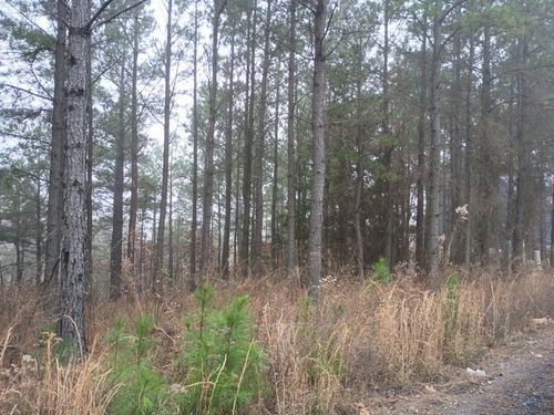 460 Timberline Trl, Broken Bow, OK, 74728-7489 | Card Image