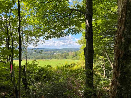 0 Danville Hill Rd, Cabot, VT, 05647 | Card Image