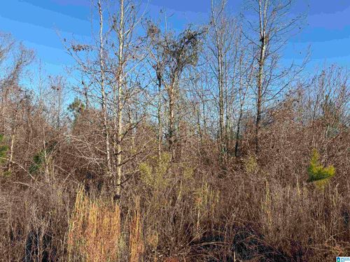 1-32 +/- Acres County Road 637, Roanoke, AL, 36274 | Card Image