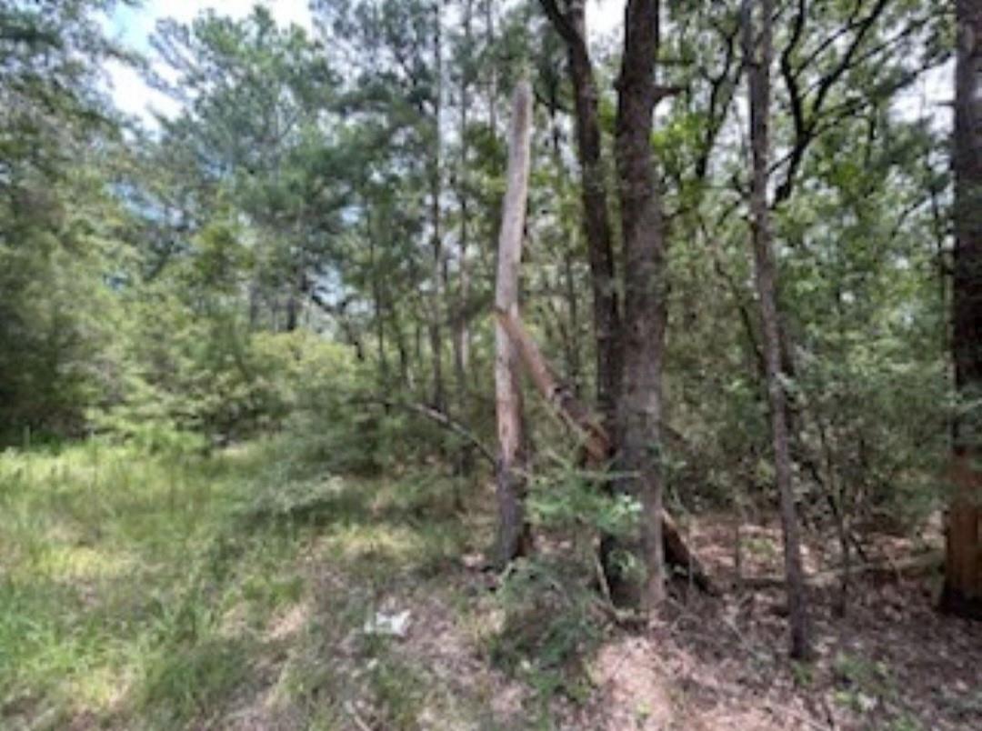 Land in Huntsville 5