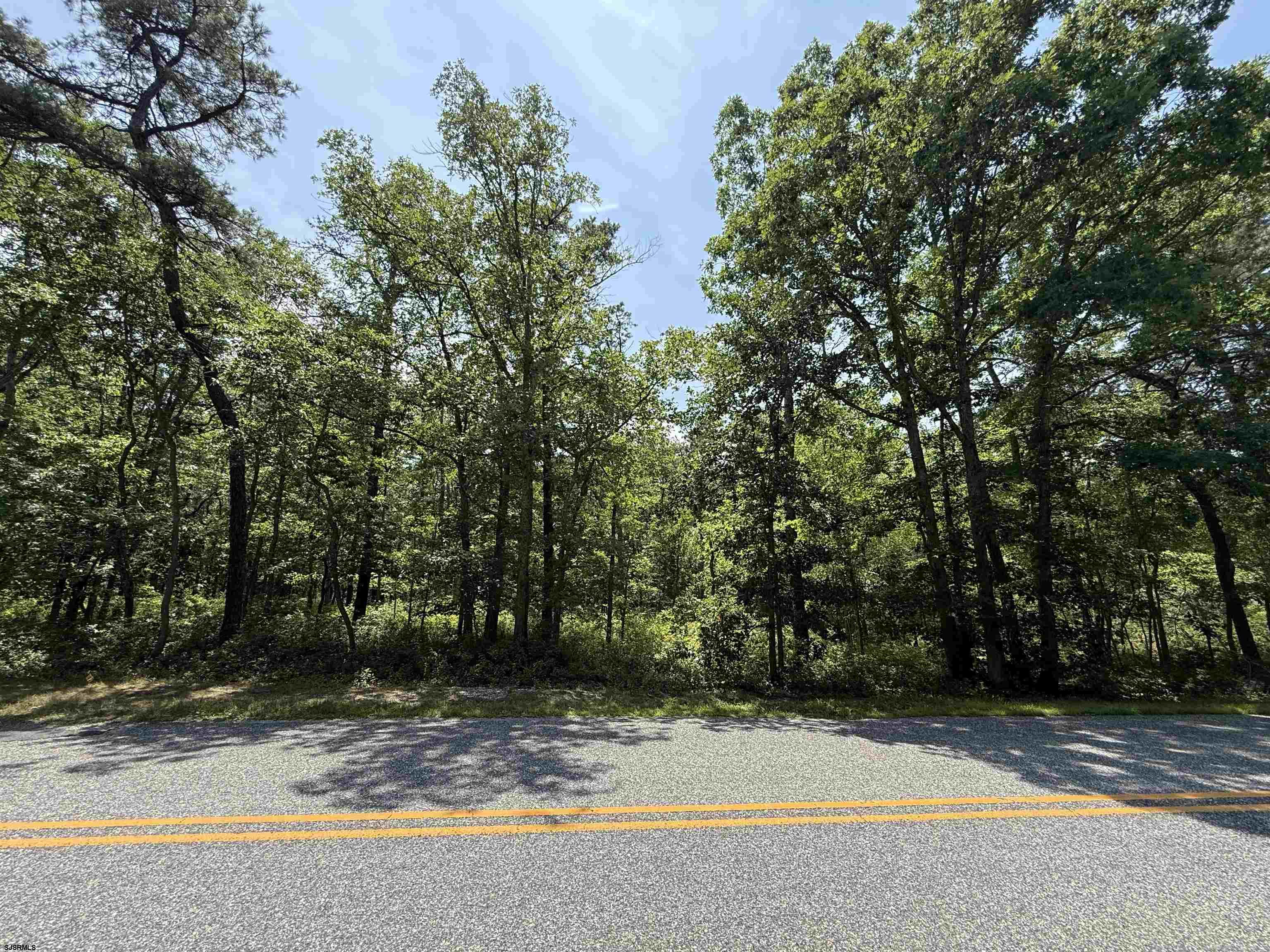 Land in Mays Landing