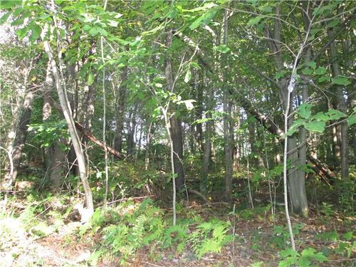 228 Shearsburg Rd, New Kensington, PA, 15068 | Card Image